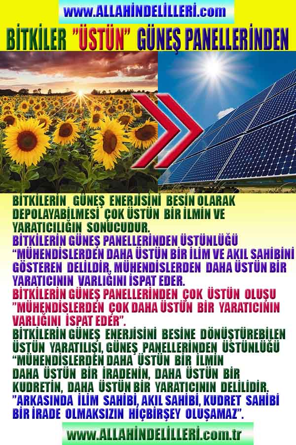 Resim 10