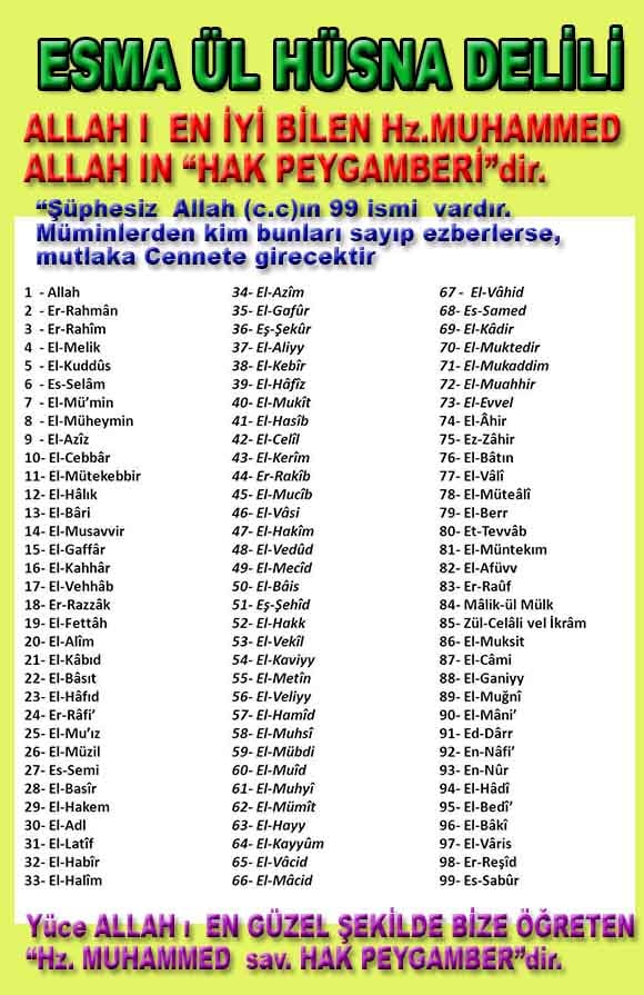 Resim 1