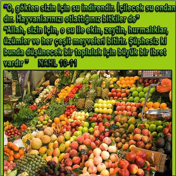 Resim 10