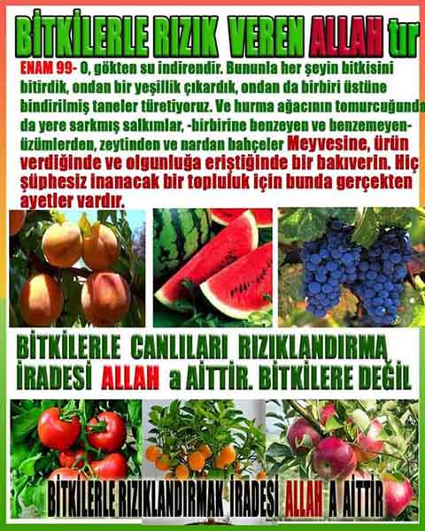Resim 1