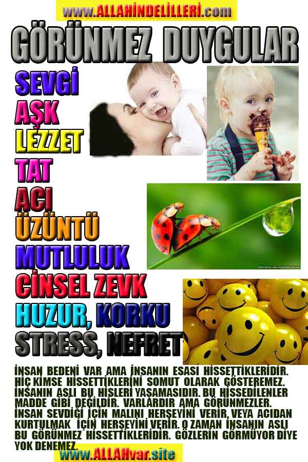 Resim 5