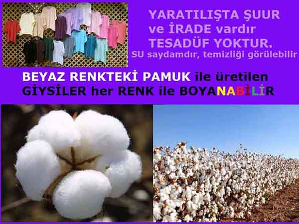 Resim 5